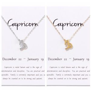 Capricorn ♑️ Zodiac Sign Necklace